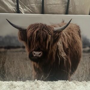 Hobby Lobby Highland Cow Wall Art - Brown and Black